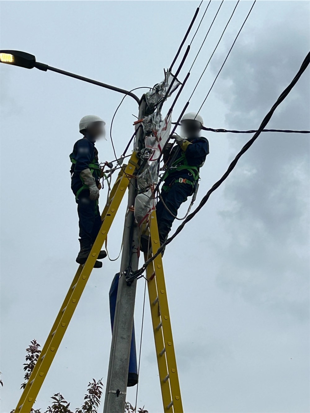 Deux techniciens harnachés travaillant en hauteur sur un poteau